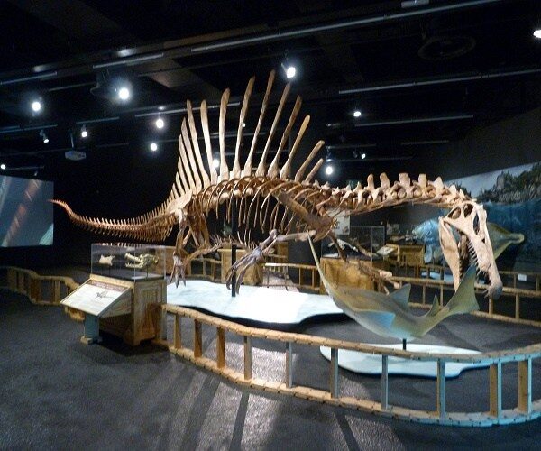 Museo de Ciencias Naturales de Barcelona gratis